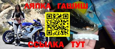 стаф Заводоуковск